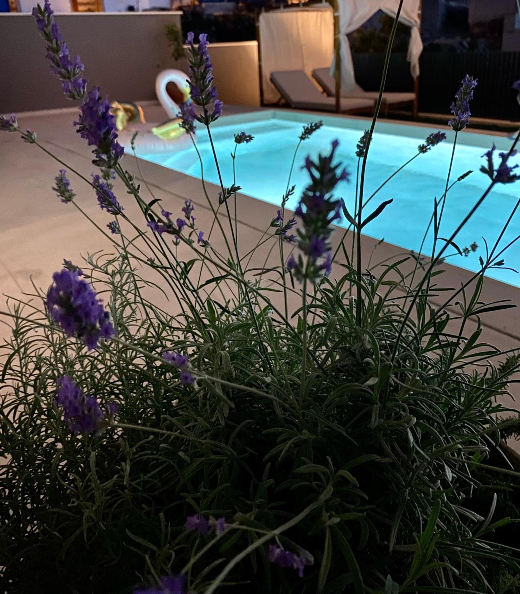 Villa 5 Makarska Dış mekan fotoğraf